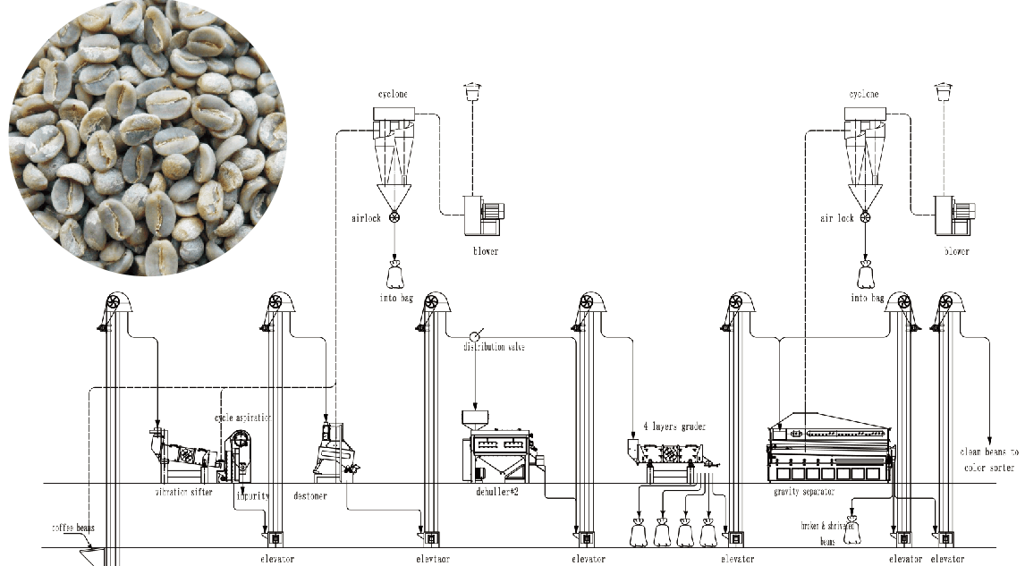 Green Coffee Bean Processing System ????? ?? ??????? ????